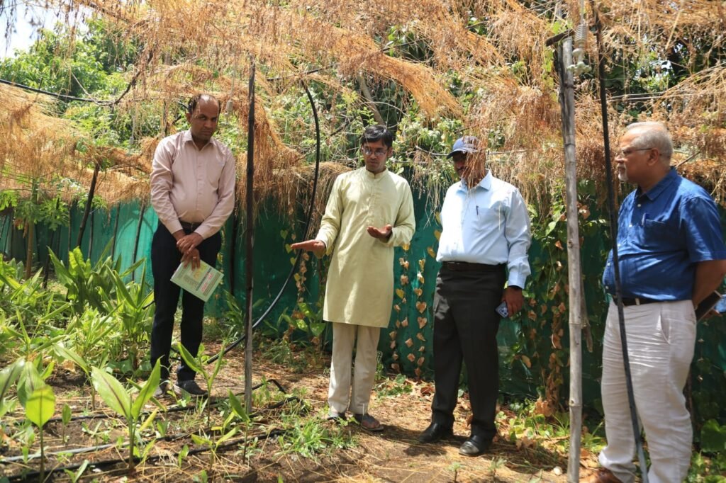 कमिश्नर ने युवा किसान आकाश चौरसिया के प्रयासों की सराहना 