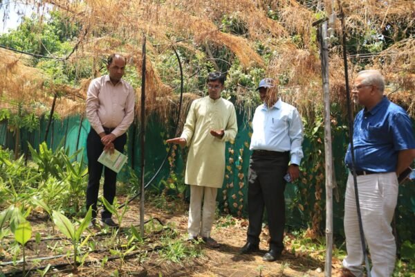 कमिश्नर ने युवा किसान आकाश चौरसिया के प्रयासों की सराहना 