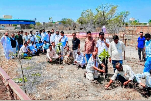 एक वृक्ष एक कार्यकर्ता के नाम से लगातार चलेगा यह अभियान- महेश जाटव