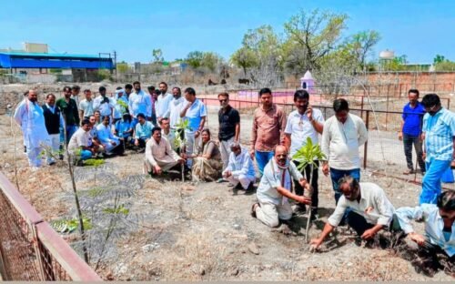 एक वृक्ष एक कार्यकर्ता के नाम से लगातार चलेगा यह अभियान- महेश जाटव