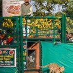 Veerangana Durgavati Tiger Reserve