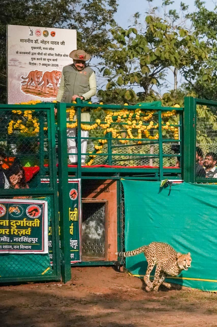 Veerangana Durgavati Tiger Reserve